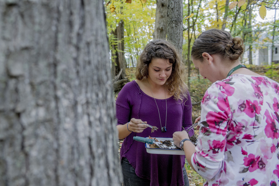 Students in outdoor classroom