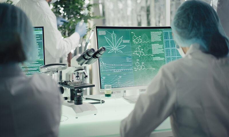 Cannabis lab