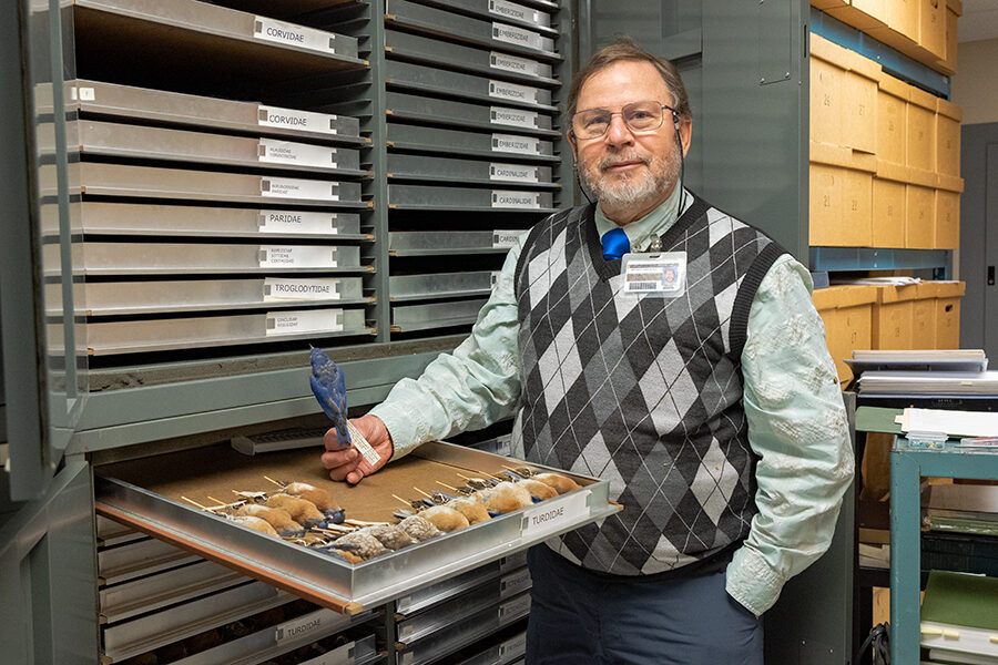 Professor Bill Cook of the Natural History Museum